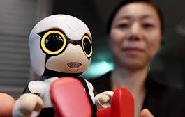 Bikin Haru! Robot Kecil Ini Temani Difabel Seperti Sahabat Sejati