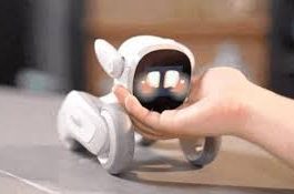 Robot Kecil Ini Jadi Sahabat Baru untuk Difabel