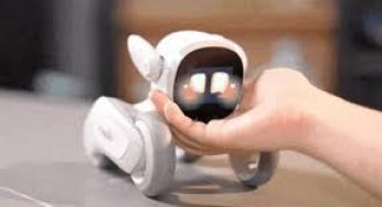 Robot Kecil Ini Jadi Sahabat Baru untuk Difabel