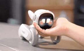 Robot Kecil Ini Jadi Sahabat Baru untuk Difabel