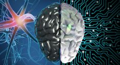 You Won’t Believe How AI Is Making Disability Care Smarter